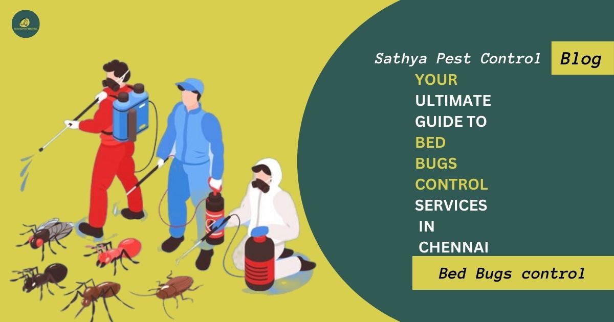 bed bugs control in Chennai