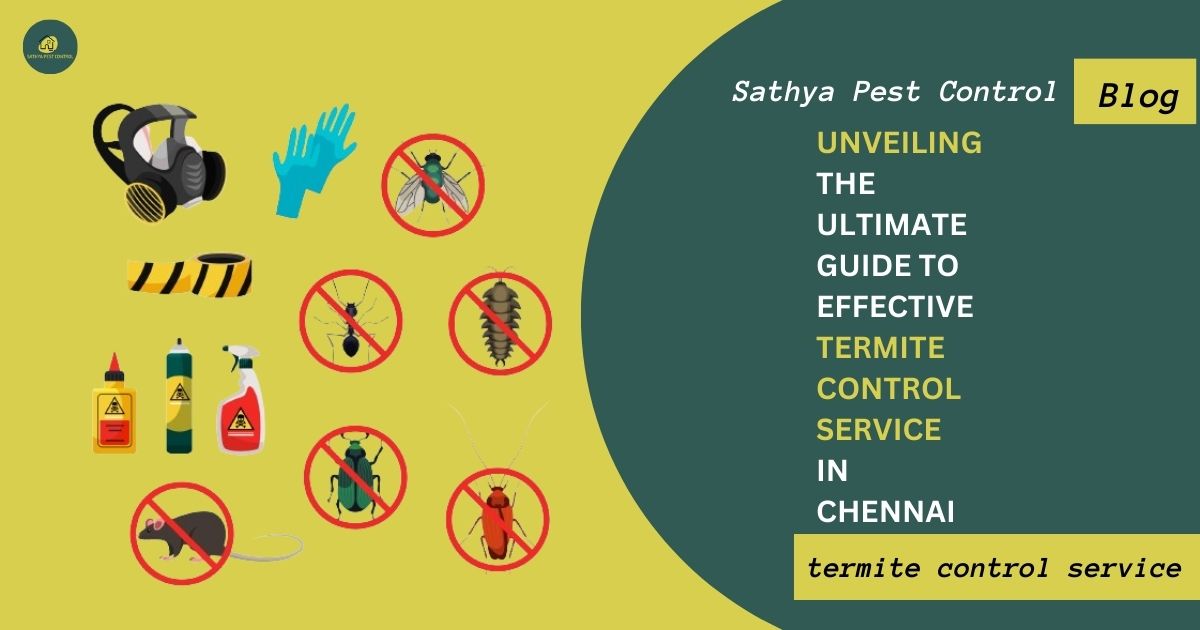 Unveiling the Ultimate Guide to Effective Termite Control Service in Chennai